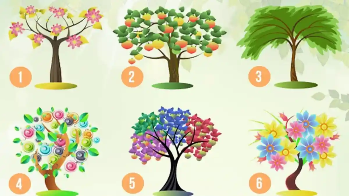 Hanya dengan 6 Gambar Pohon Berikut Bisa Tes Kepribadian, Cek Kamu yang Mana?