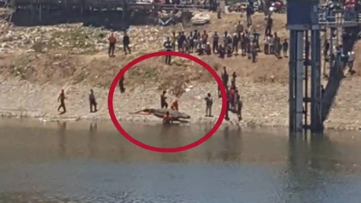 Dikira Buaya, Polisi Lepaskan Tembakan ke Arah Sungai Ketika Diangkat Ternyata . . .