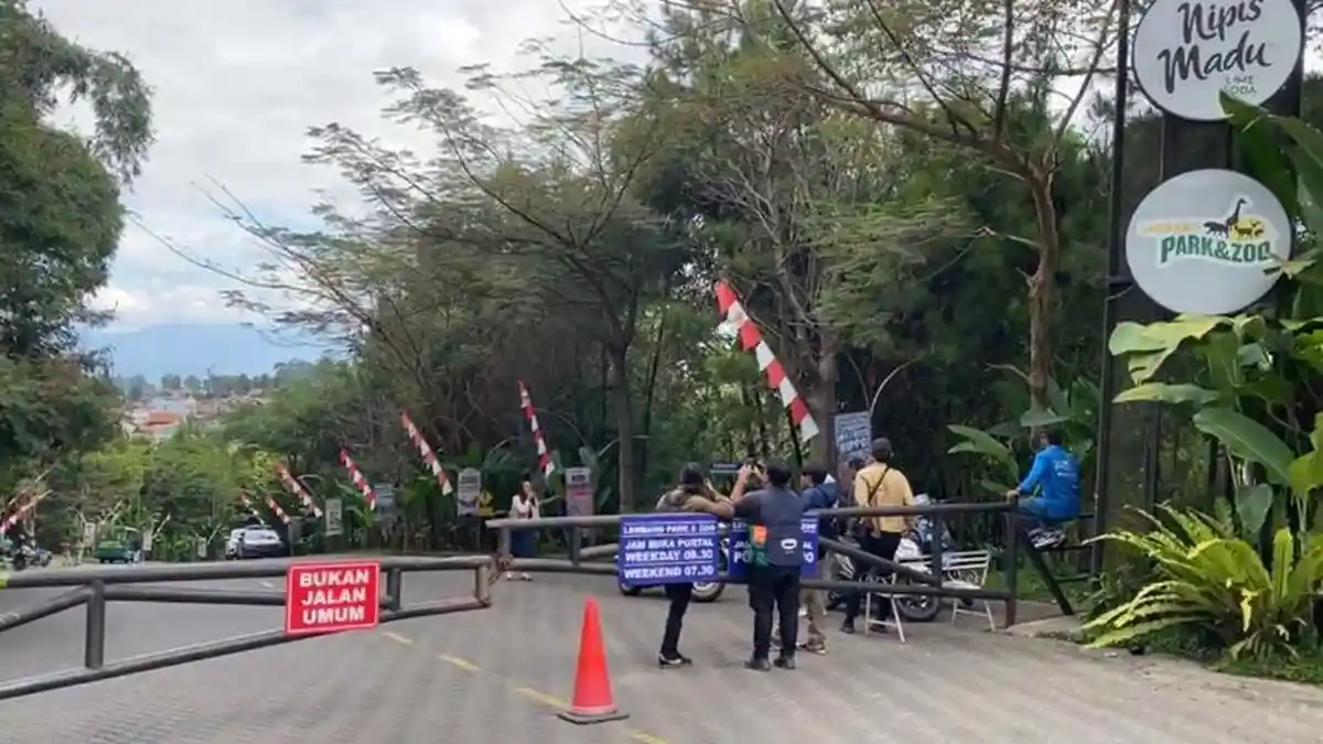 BREAKING NEWS: Pengunjung Lembang Park & Zoo Berhamburan, Ada Harimau Lepas