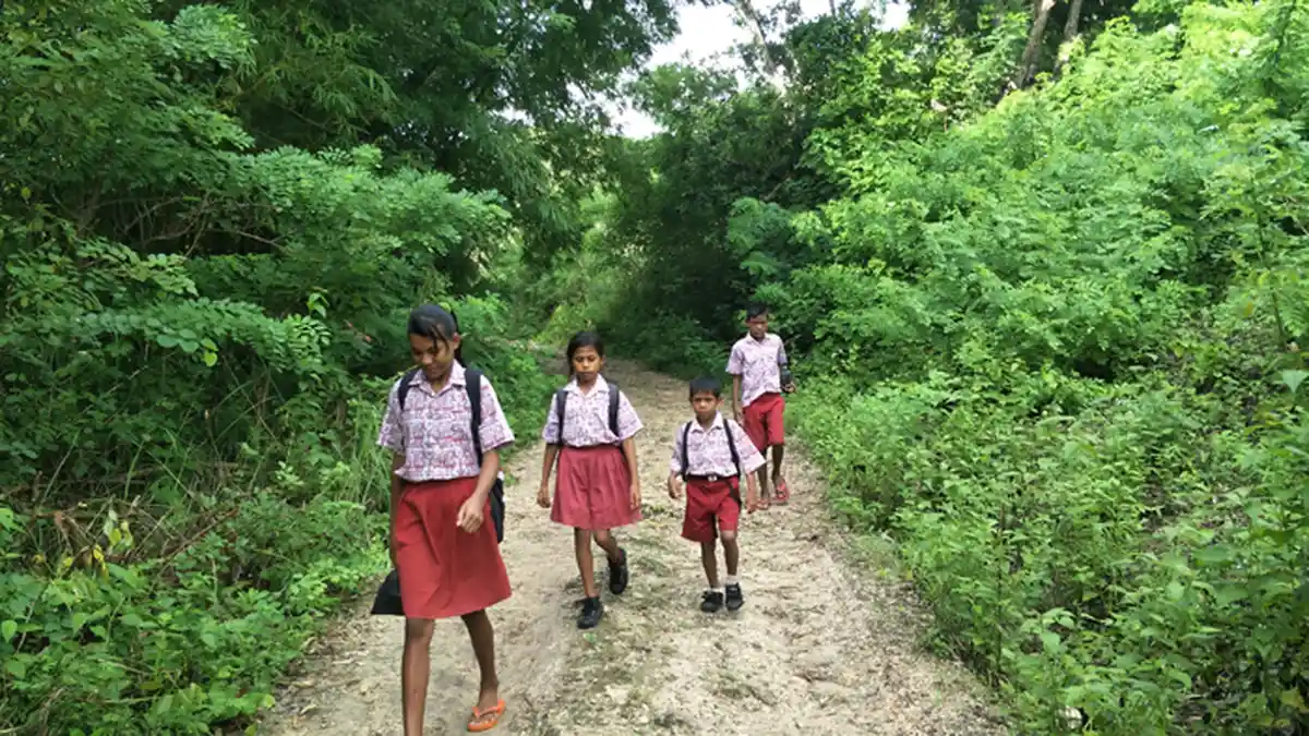 BREAKING NEWS: Siswa SDM Mbatakapidu, Sumba Timur Jalan Kaki 7 Kilometer
