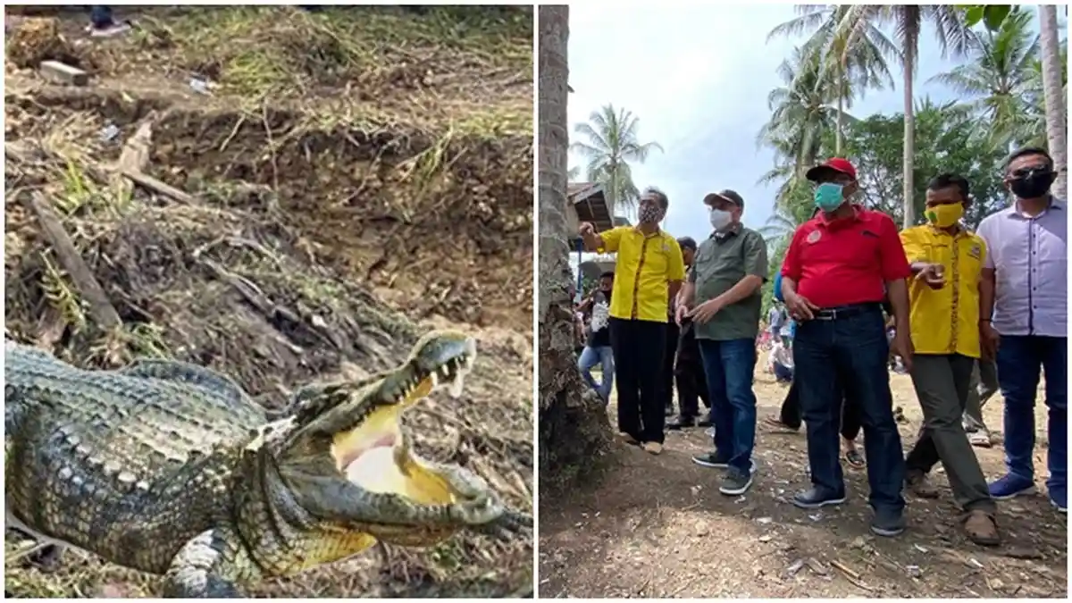 Teror Buaya di Batu Putih Berau, Seorang Pemancing Lenyap, Sempat Terdengar Teriakan Minta Tolong