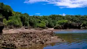Destinasi-Wisata-Pantai-Sayang-Heulang-Garut.jpg