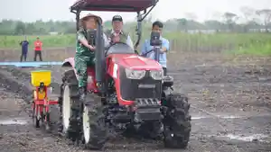 Target-196-Ribu-Ha-Program-Tanam-Jagung-Diharap-Perkuat-Ketahanan-Pangan-Bulog-Siap-Jaga-Pasokan.jpg