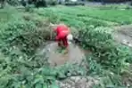 Musim Kemarau, Hasil Panen Menurun