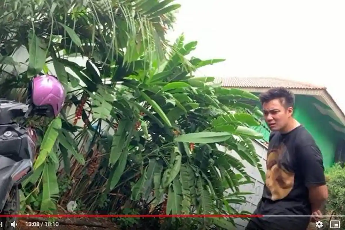 Perlakuan pada ART Disorot Baim Wong, Suami Paula Posting Video Anak Majikan