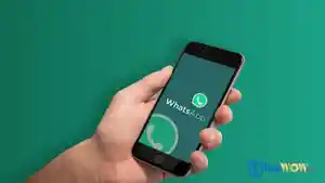 trik-aplikasi-whatsapp.jpg