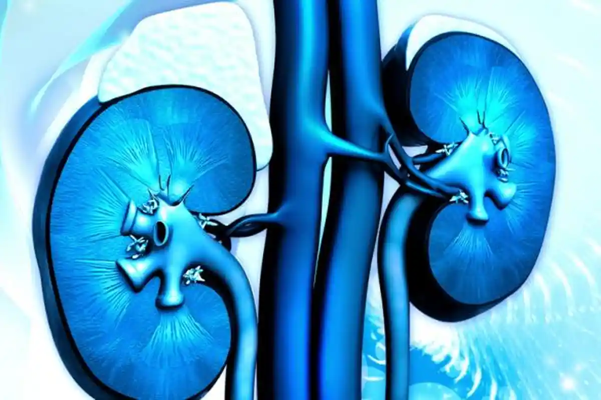 Awas, Makanan Ini Beresiko Menjadi Penyebab Sakit Batu Empedu, Simak Penjelasan dr Saddam Ismail