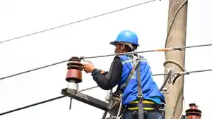 petugas-pln-melukakan-pemeliharaan-jaringan-listrik_20220901_134010.jpg