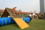 Purina Pro Plan Boot Camp