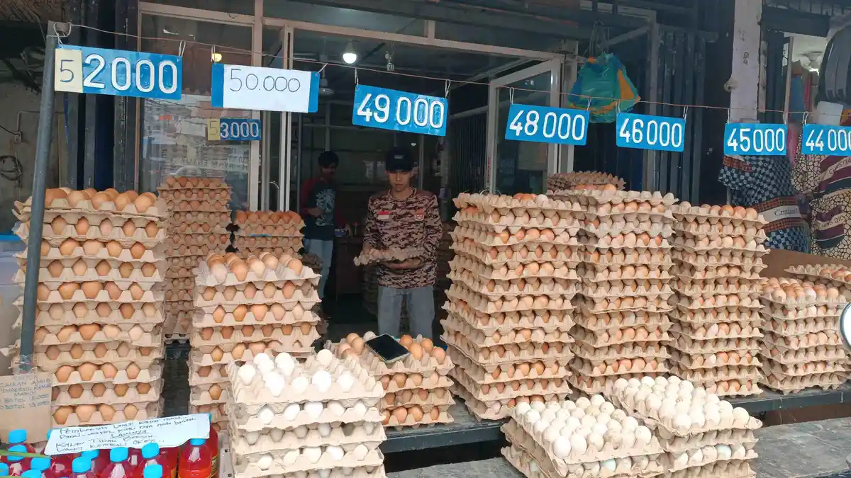 Harga Telur Ayam di Medan Tembus Rp 50 ribu Per Papan, Begini Reaksi Masyarakat