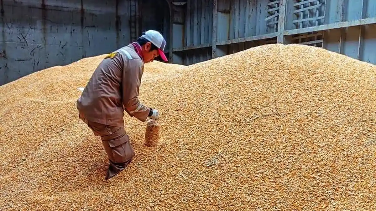Wamendag: BRI Perlu Perbesar Pembiayaan Sistem Resi Gudang