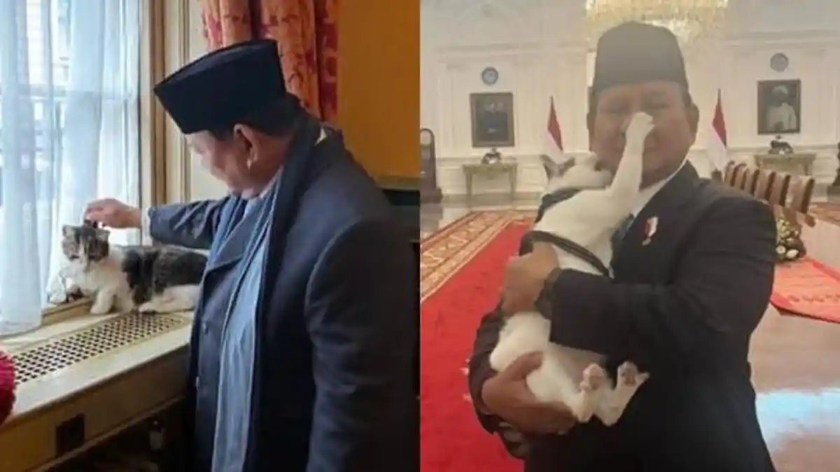 Prabowo Subianto Elus Larry the Cat, Kucing 'Karyawan' Kantor PM Inggris, Kangen Bobby Kertanegara?