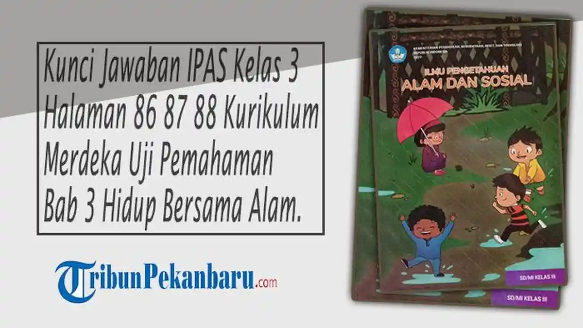 Kunci Jawaban IPAS Kelas 3 Halaman 86 87 88 Kurikulum Merdeka Uji ...