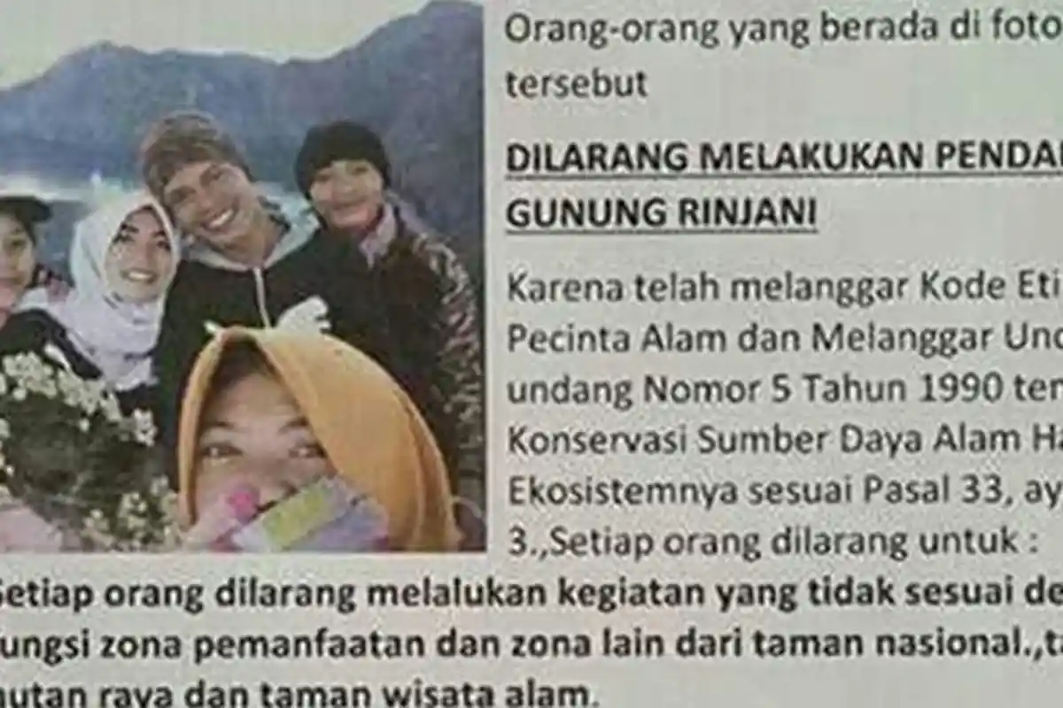 Lima Orang Pencabut Bunga Edelweis di TN Gunung Rinjani Akan Dijadikan Duta Pelestarian?