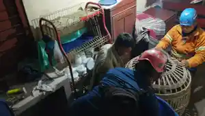 MONYET-KABUR-Petugas-BPBD-Jombang-saat-mengamankan-seekor-monyet-yang.jpg