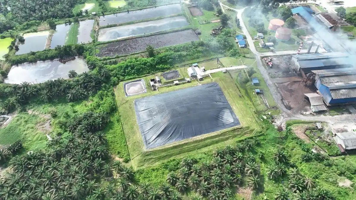 PTPN IV Palmco: Rp150 Ribu Bisa Beli Karbon Selamatkan Lingkungan