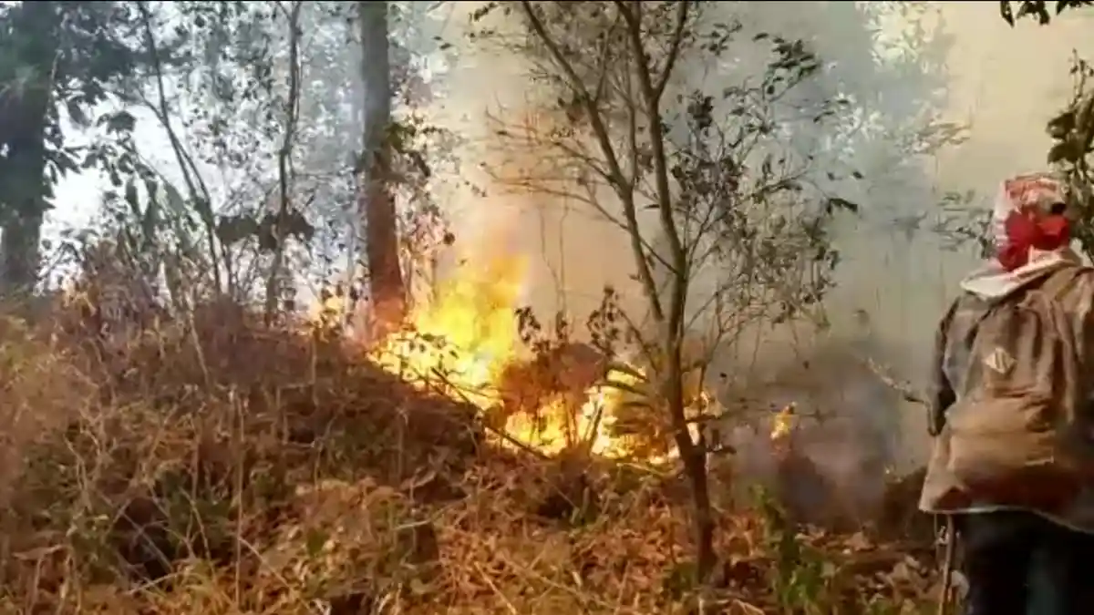 Kisah Relawan Penjinak Api di Gunung Ciremai, Kekurangan Logistik hingga Didatangi Makhluk Halus