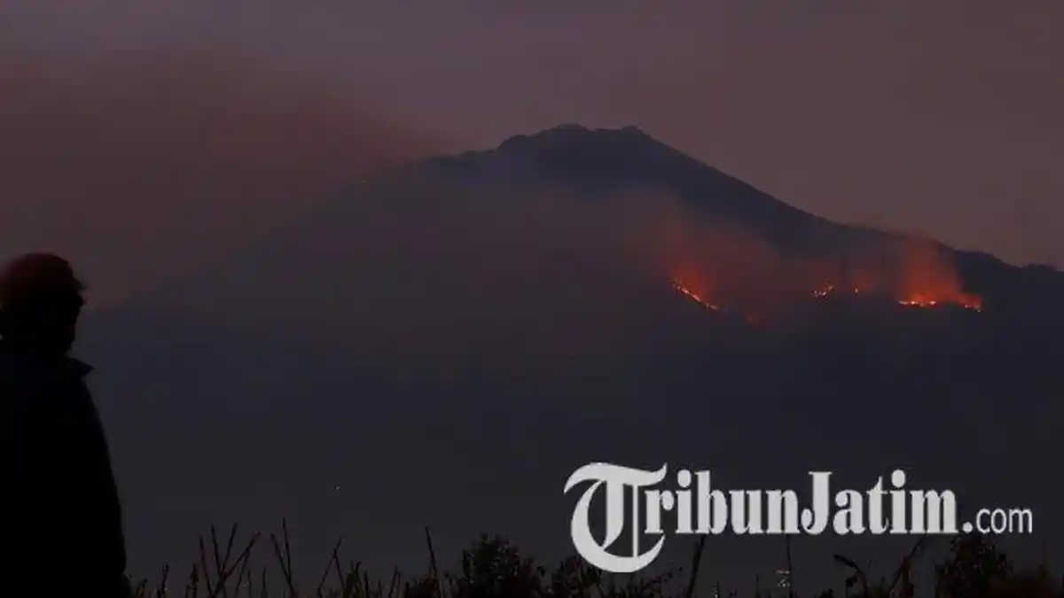 Lereng Gunung Arjuno Terbakar, Petugas Turunkan Tim Gabungan dari Malang