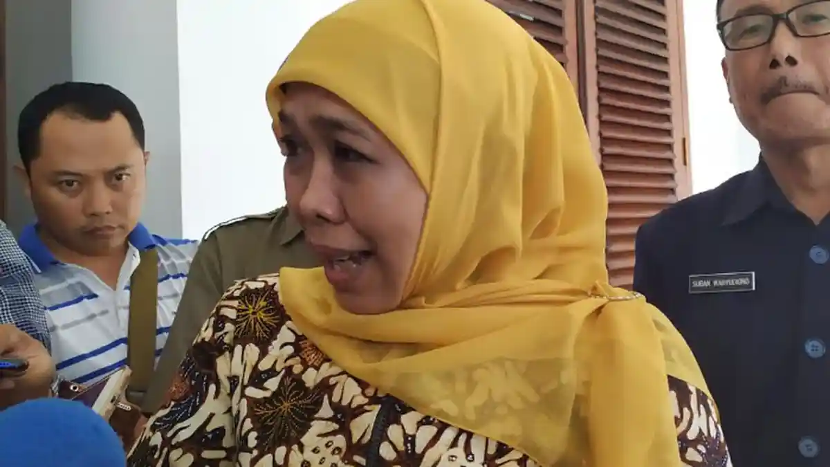 Jatim akan Surplus Jagung Mencapai 1,6 Juta Ton hingga April 2020