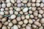 HARGA-TELUR-Di-Pasar-Raya-Kota-Padang-pardumber-foto-Arif-RK.jpg