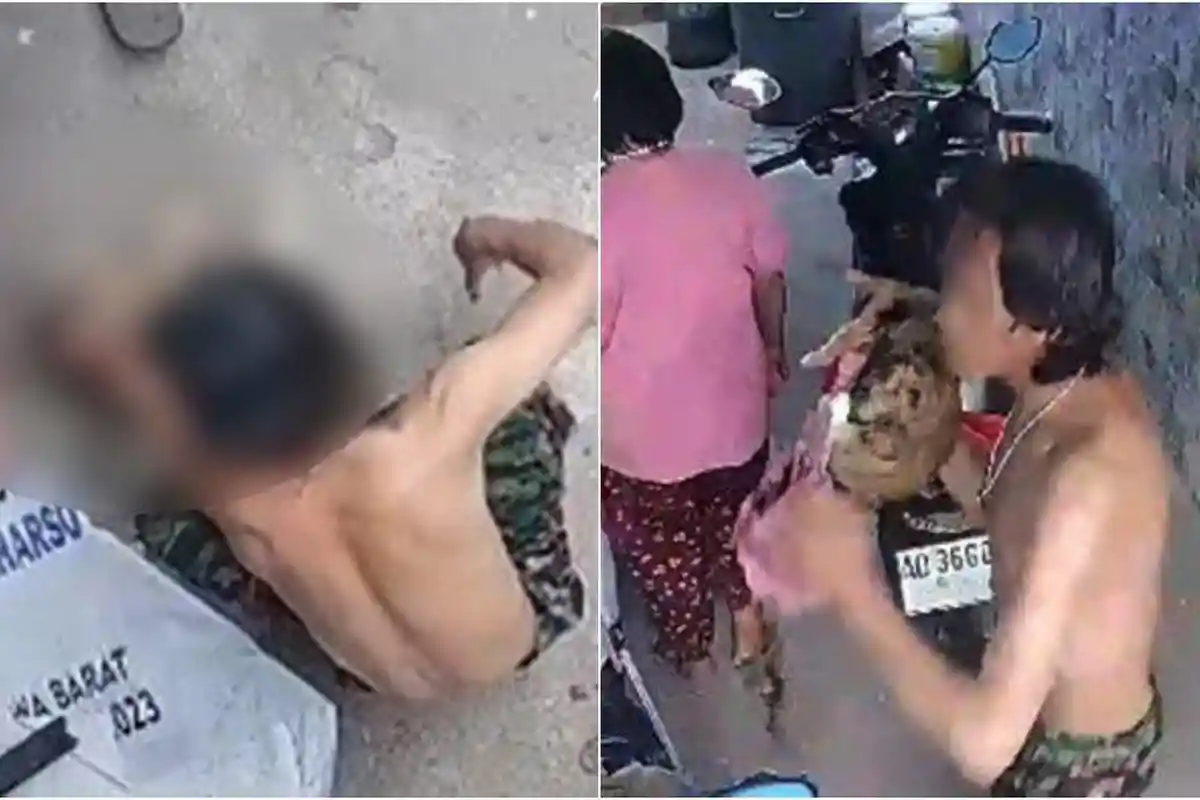 Teganya Pria di Solo, Banting Kucing Gegara Lauk Makanan Diambil, Berujung Dilaporkan ke Polisi