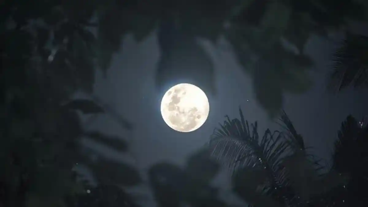 Malam Ini Bakal Terjadi Gernaha Bulan Penumbra, Berikut Wilayah yang Bisa Menyaksikan