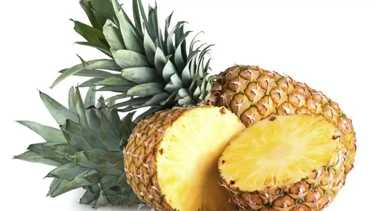 8 Manfaat Sering Konsumsi Nanas, Bisa Tingkatkan Kesuburan Pria dan Wanita
