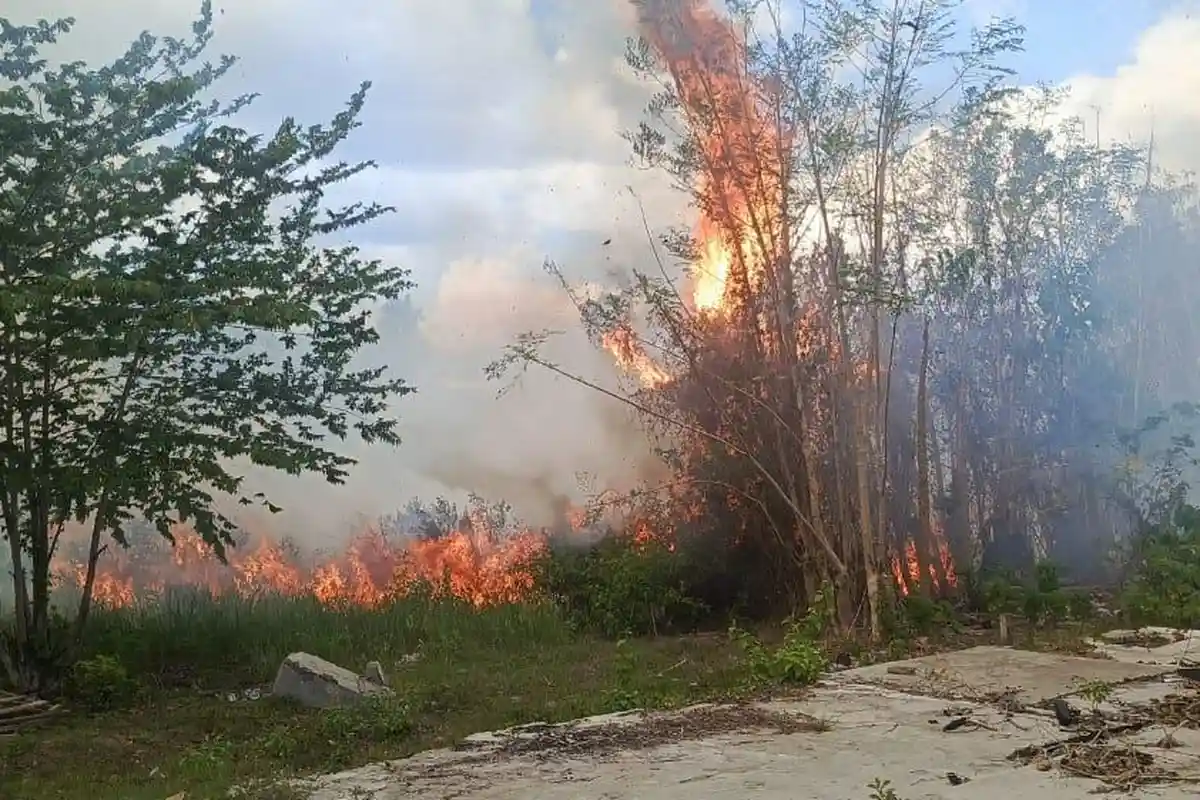 Kebakaran Hebat di Belakang Kantor KPU Buru, Api Nyaris Hanguskan Tiga Kantor Pemerintahan