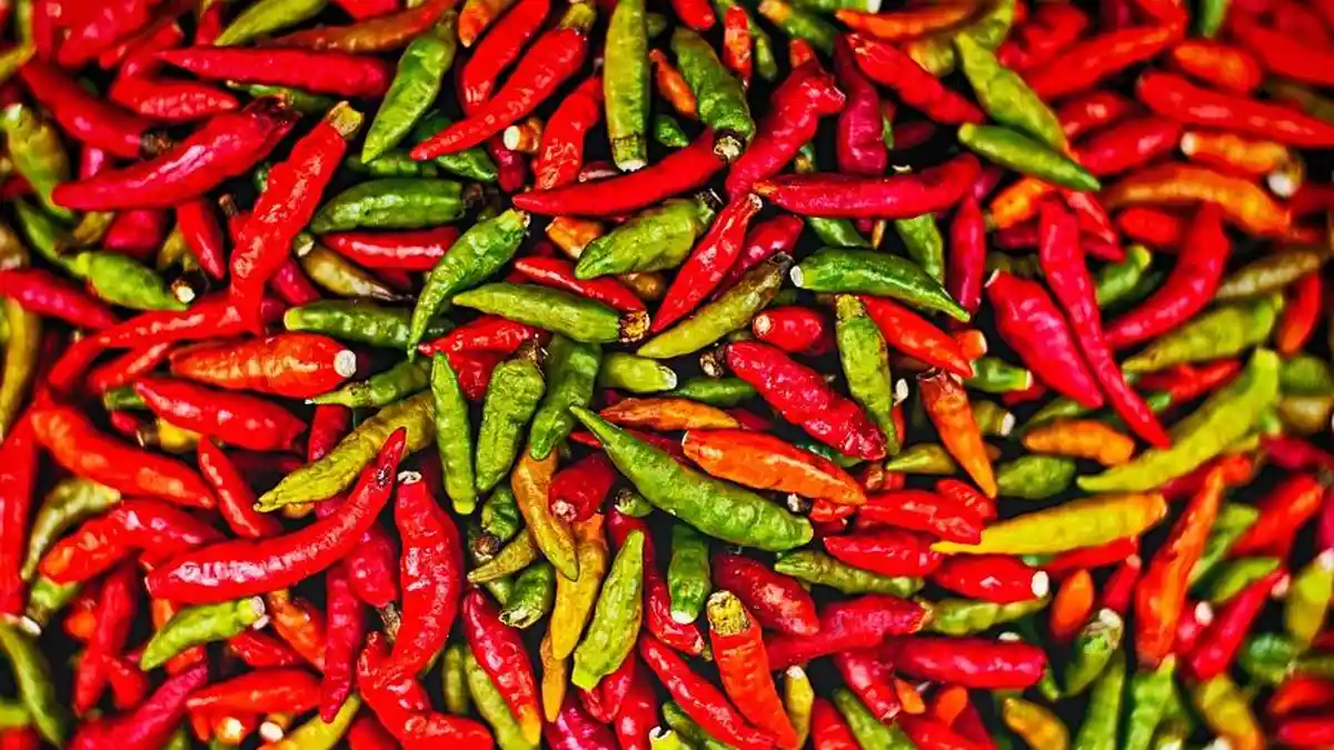 Harga Cabai dan Bahan Pokok Lainnya Konsisten Naik di Bali Pada Pertengahan Bulan Juli