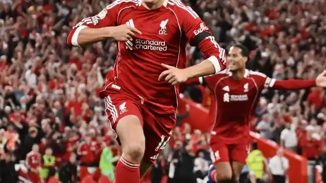 Tribun