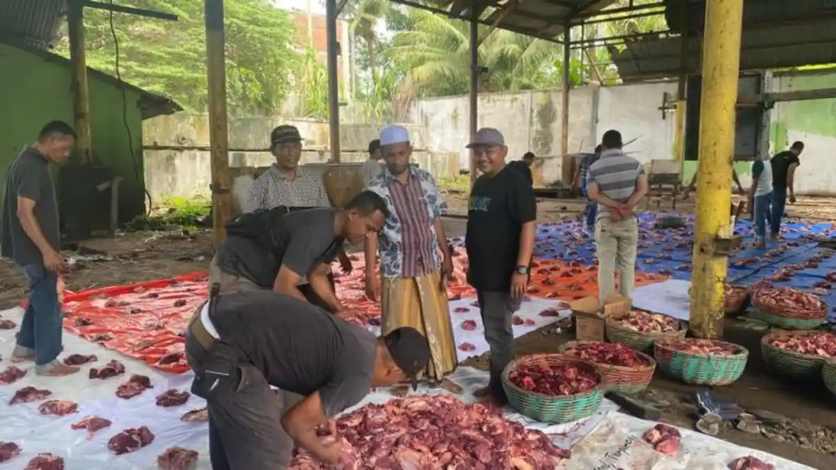 Panitia Kurban Gampong Lueng Bata Banda Aceh Sembelih 21 Sapi dan 10 Kambing, Dibagi 1.000 Tumpuk
