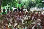 Target Perluasan Ruang Tebuka Hijau di Jakarta