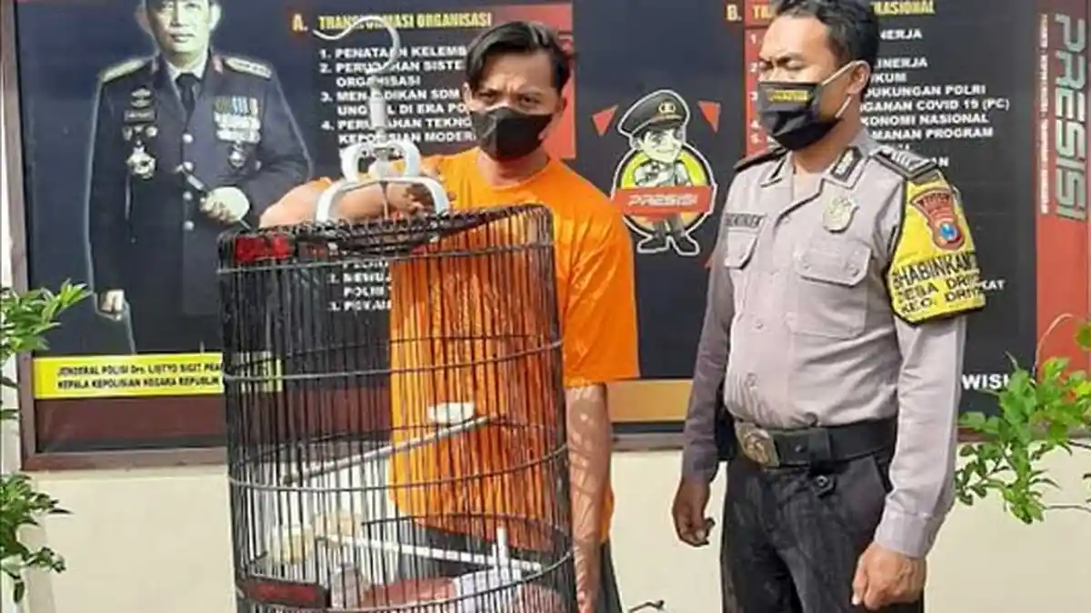 Pulang Ngopi dan Melihat Sangkar Burung yang Dibungkus, Pria di Gresik Tergoda, Berakhir Dibui