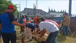 sapi-kurban-jokowi.jpg