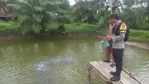 Bhabinkamtibmas-Polsek-Belitang-III-Cek-Kolam-Budidaya-Ikan-Lele-dan-Kebun-Jagung-Milik-Warga-Binaan.jpg