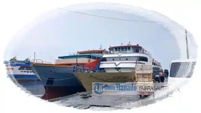 Tribun
