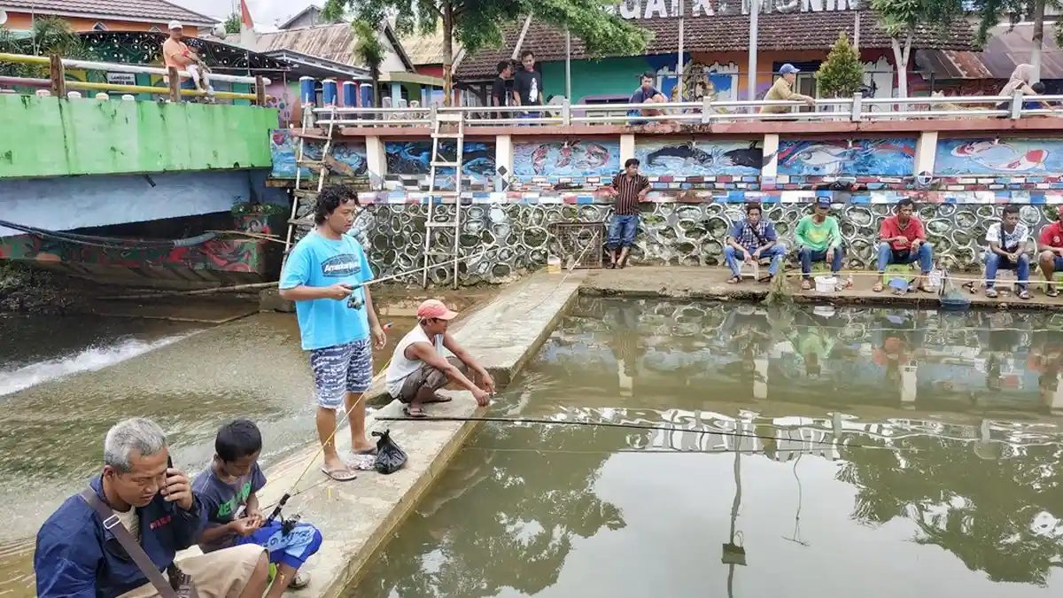 Mancingmania ini Tak Lewatkan Acara Mancing Gratis Lele di Sungai Kemuning, Guntungpaikat