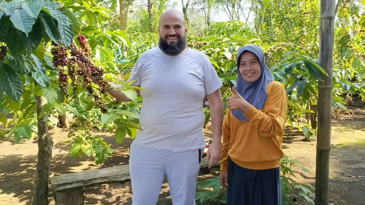 Buyer Australia Tertarik Dengan Kopi Pagaralam, Beguyur Kopi Mitra Binaan PLN UID S2JB
