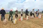 Lanjutkan Program Ketahanan Pangan, Polres Balangan Tanam Jagung di Lahan Seluas Enam Hektar