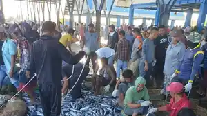 ikan-848483.jpg