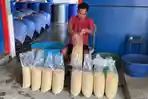 Produksi-Tahu-Palasah-Majalengka.jpg