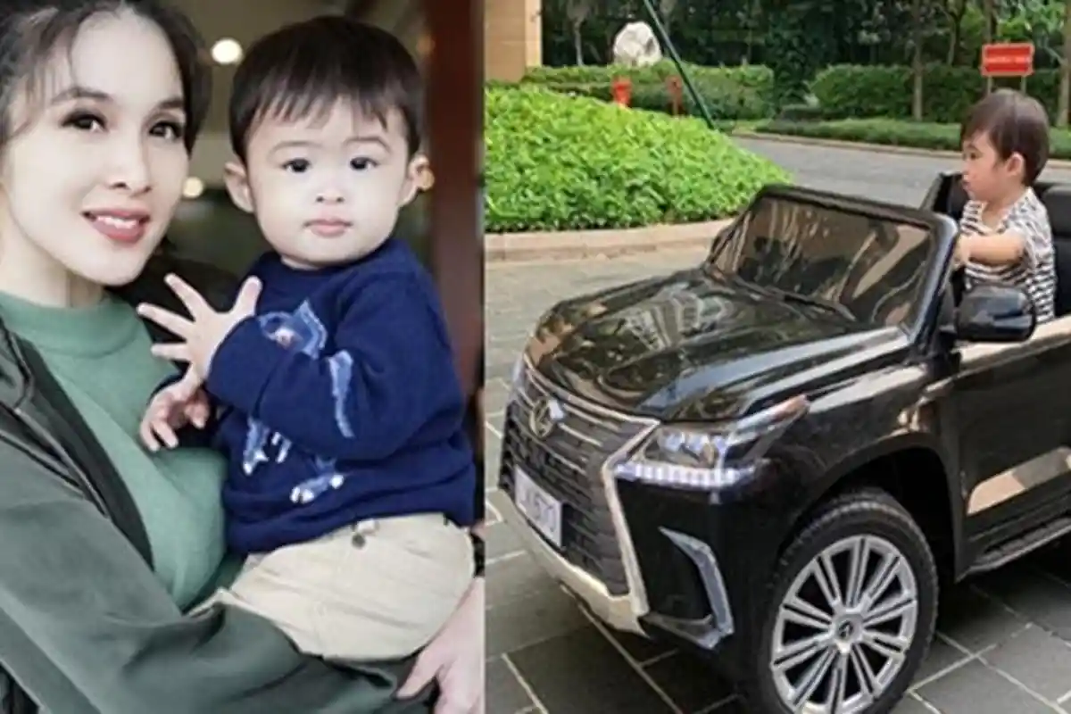 Mobil-mobilan Mewah Punya Raphael Moeis Putra Sandra Dewi jadi Sorotan, Berapa Harganya?