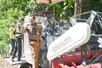 Panen-padi-di-Noelsinas-Nekamese.jpg
