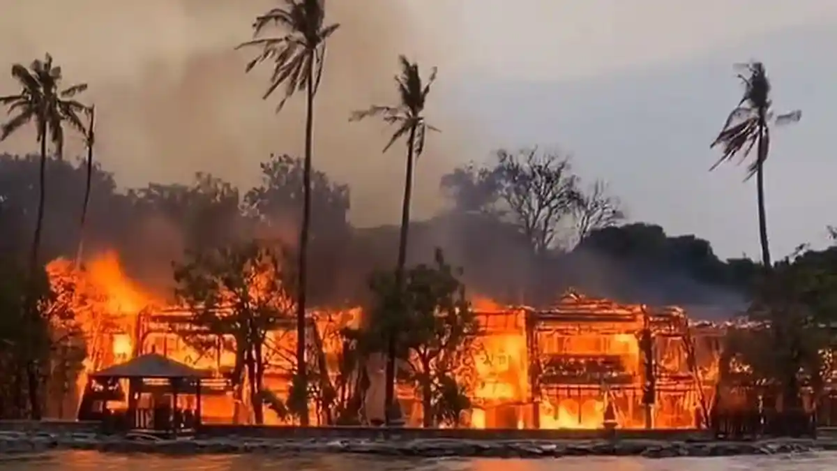 Angin Kencang Diduga Sebabkan Api Menyebar Cepat Hanguskan Bangunan Putri Duyung Cottage Ancol