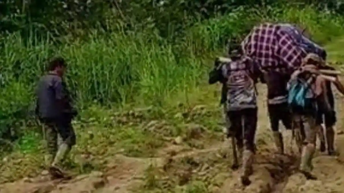 MIRIS, 16 Jam Menuju Rumah Sakit Ibu Hamil dan Bayinya Meninggal Usai Ditandu