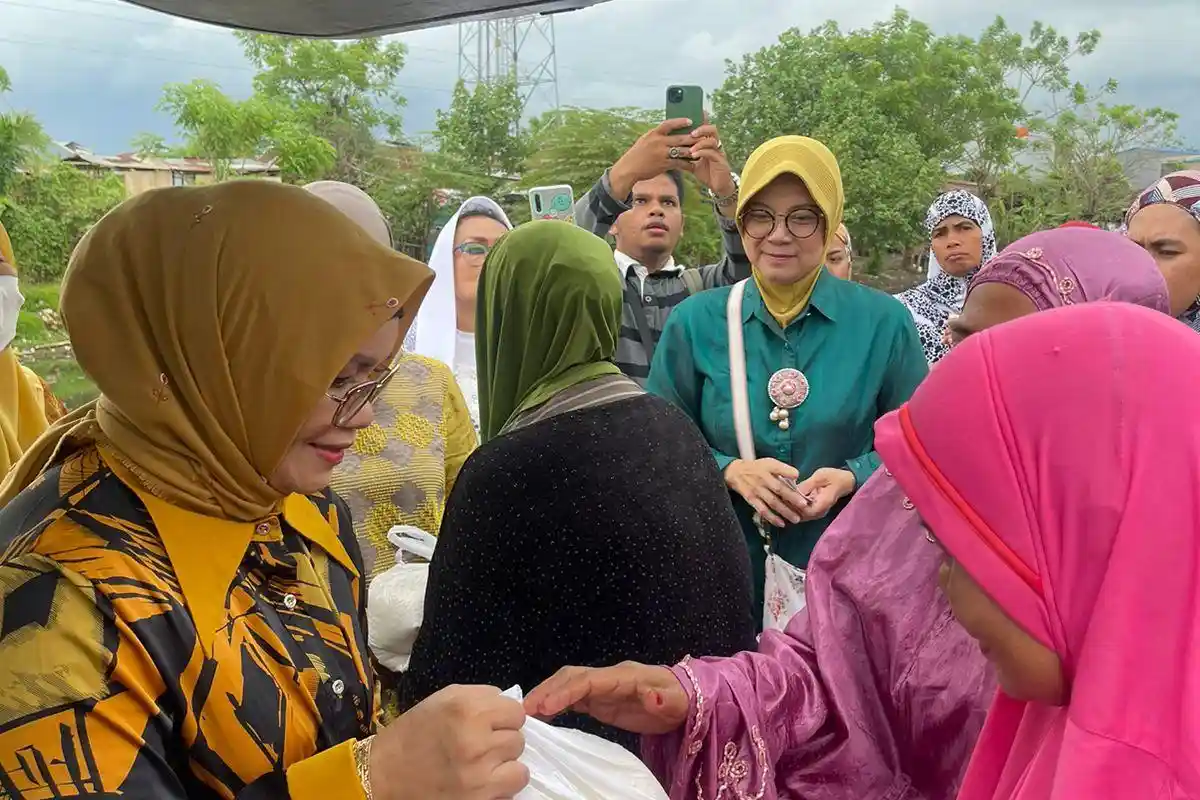 Alasan Dibalik Lies F Nurdin Maju DPR RI di Dapil Sulsel 1