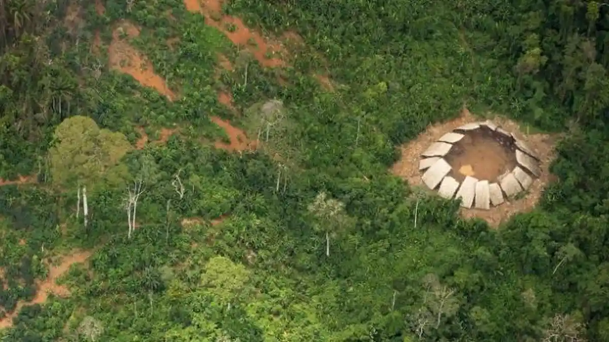 Cari Penambang Liar di Kawasan Hutan Amazon, Malah Dapati Keberadaan Suku Terasing
