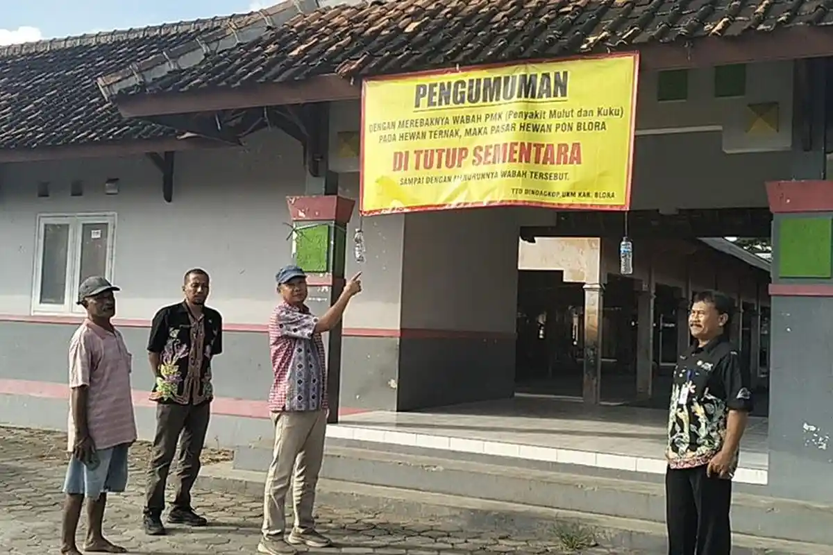 Update Kasus Penyakit Mulut dan Kuku di Blora: Sebulan 50 Sapi Mati