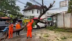 20251104-_-Pohon-Tumbang-Timpa-Rumah-Makan-di-Salatiga.jpg