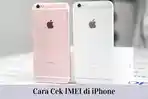 Cara-Cek-IMEI-di-iPhone.jpg
